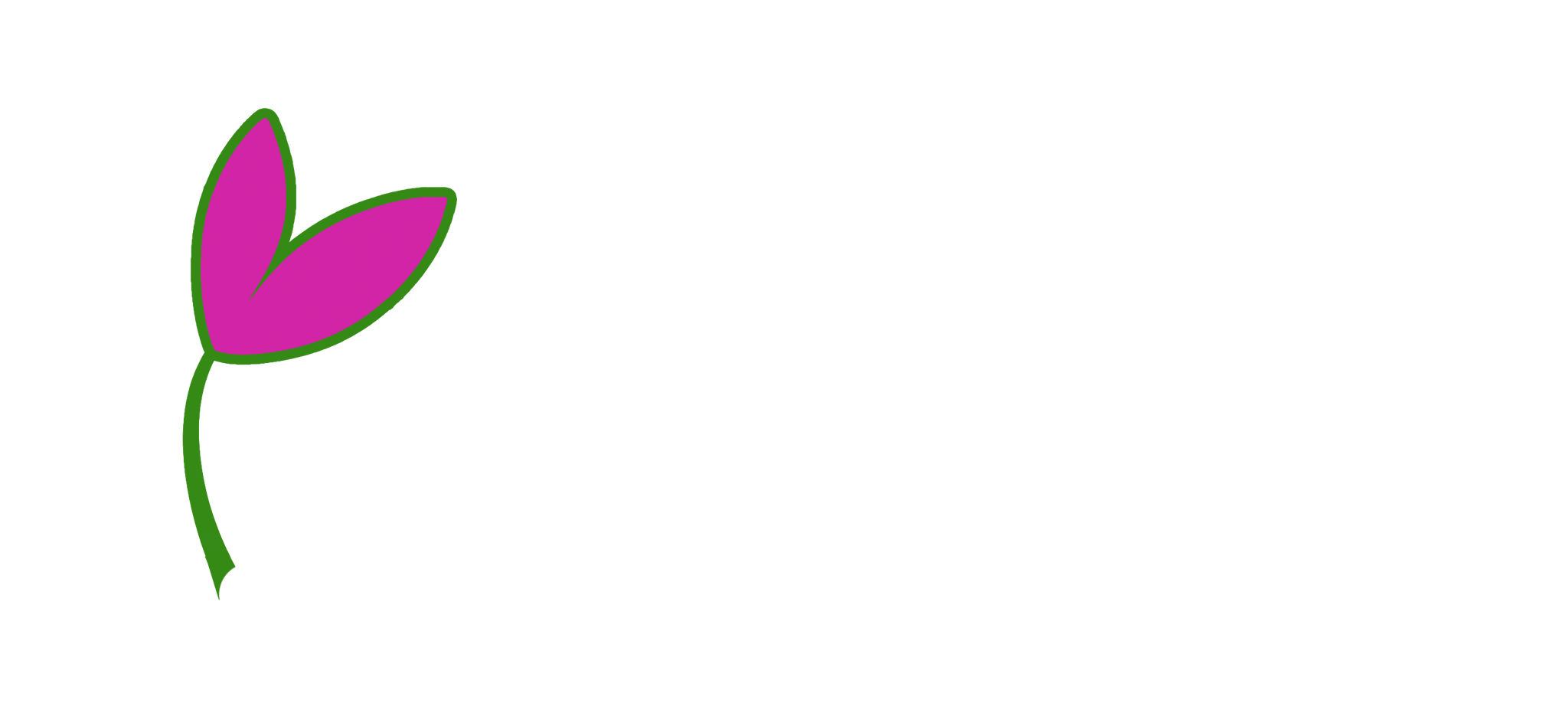 Flores na Hora